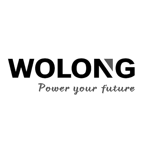 Wolong